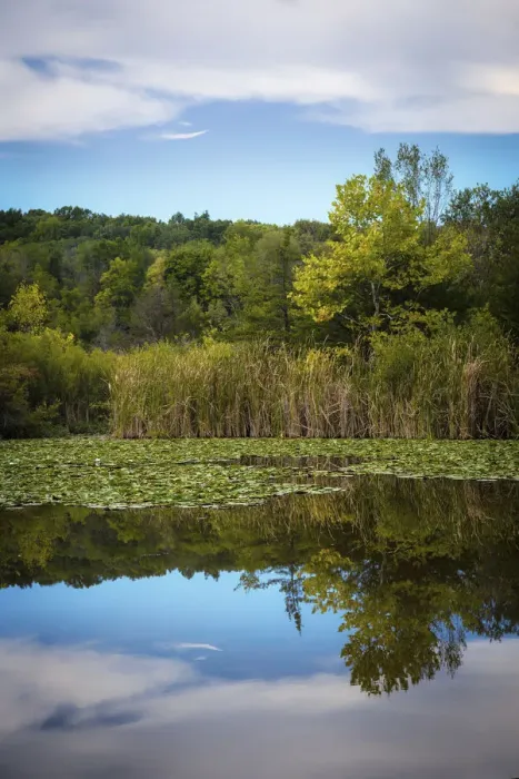Framed Print : Lake, France Park, Indiana, USA