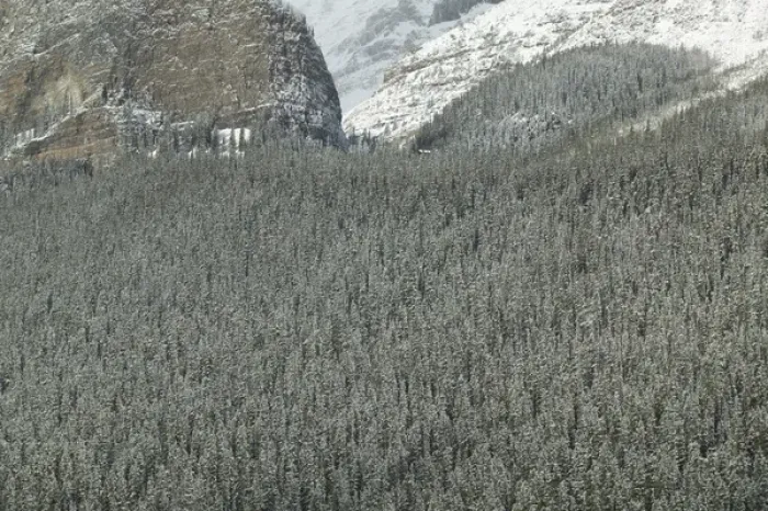 Framed Print : 02. Canada, Alberta, Banff National Park: LAKE LOUISE