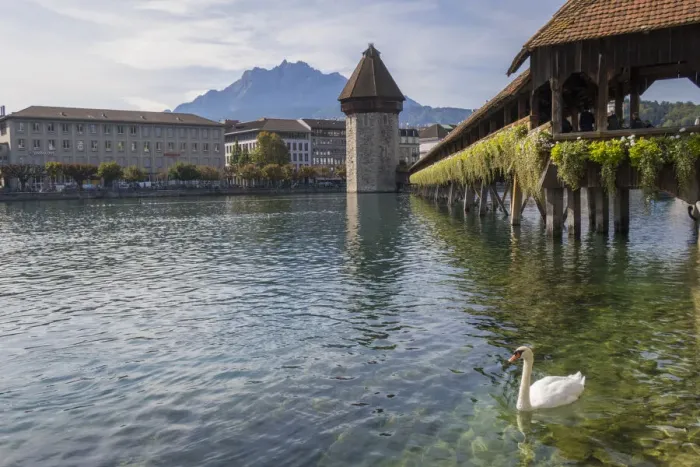 Framed Print : Lake Lucerne, Switzerland. Famous walking bridge and swans in river during the fall