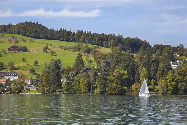 Lake Lucerne, Switzerland. Sailboat sailing on lake
