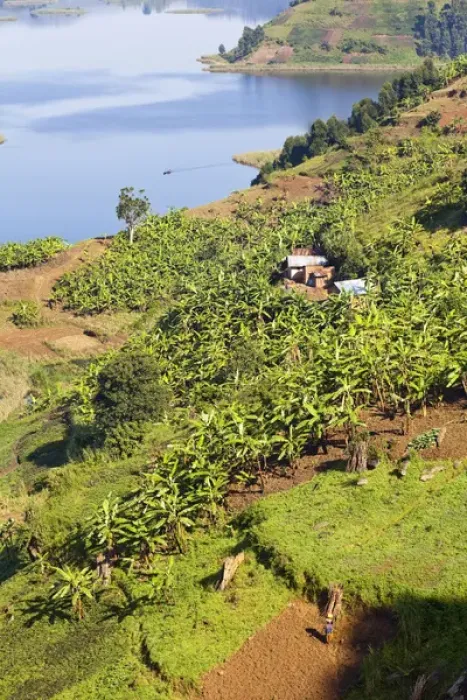 Framed Print : Lake Mutanda near Kisoro in Uganda. On the shoreline the land is cultivated, very Framed Print : Lake Mutanda near Kisoro in Uganda. On the shoreline the land is cultivated, very