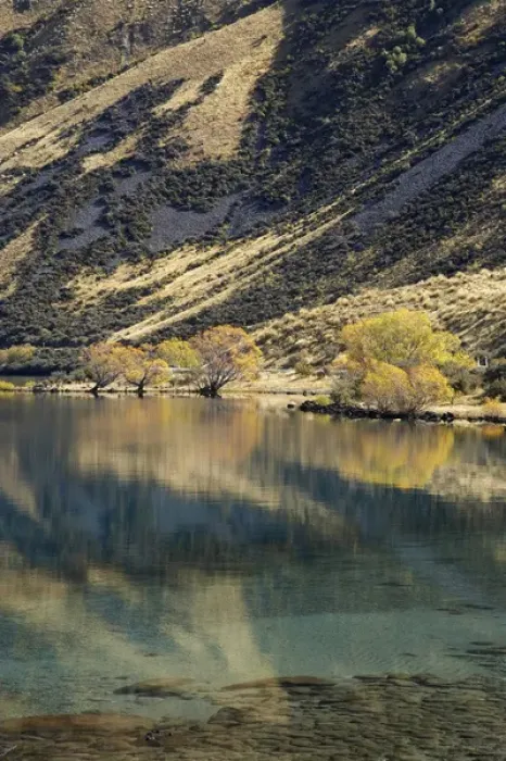 Framed Print : Lake Ohau, Autumn Colour and Ben Ohau, Mackenzie Country, South Canterbury, South Island Framed Print : Lake Ohau, Autumn Colour and Ben Ohau, Mackenzie Country, South Canterbury, South Island