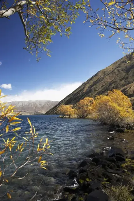 Framed Print : Lake Ohau and Ben Ohau, Mackenzie Country, South Canterbury, South Island, New Zealand
