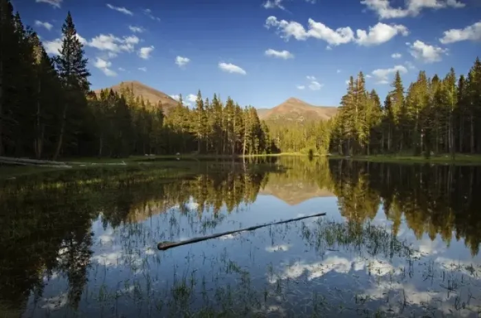 Framed Print : Lake along the road to Tuolumne Meadows, Yosemite National Park, California, USA Framed Print : Lake along the road to Tuolumne Meadows, Yosemite National Park, California, USA