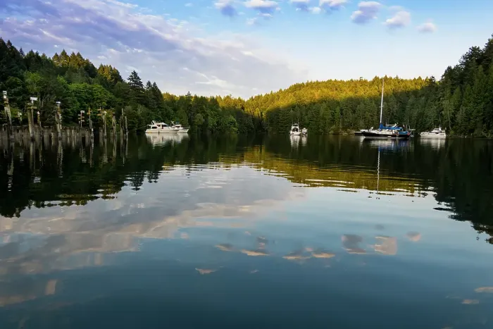 Framed Print : A lake on Vancouver Island, British Columbia, Canada