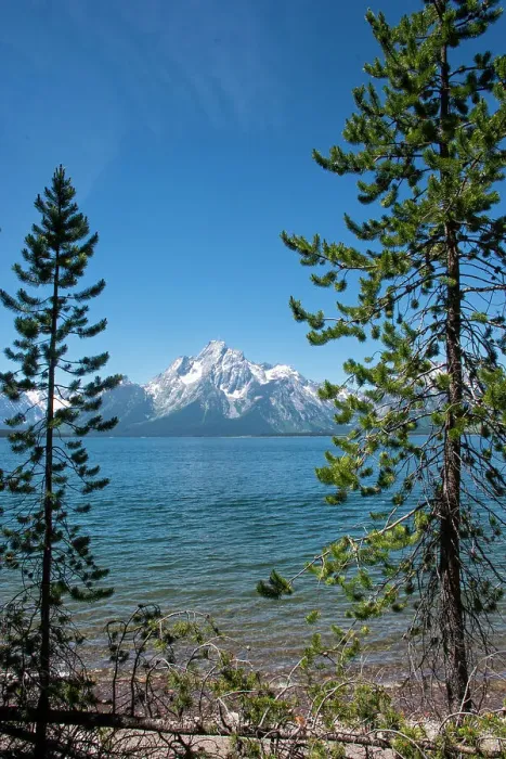 Framed Print : Lakeshore Trail, Colter Bay, Grand Tetons National Park, Wyoming, USA Framed Print : Lakeshore Trail, Colter Bay, Grand Tetons National Park, Wyoming, USA