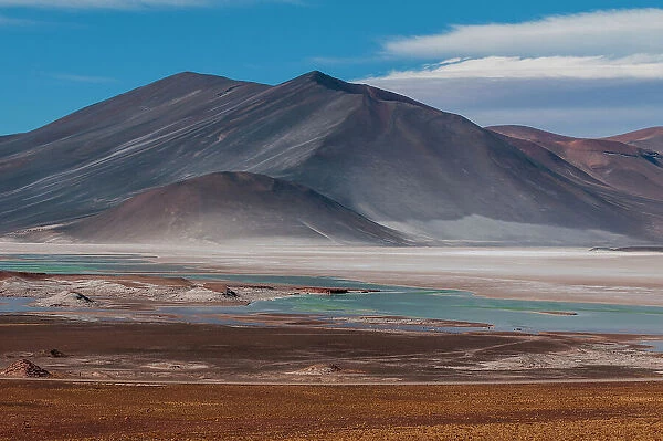 A landscape of the Andes Mountains and the Salar de Talar salt flat, at an altitude of 4, 000 meters above sea level. Salar de Talar, Atacama Desert, Antofagasta Region, Chile