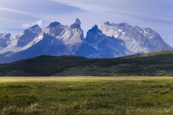 Landscape of Cuernos del Paine with meadow, Torres del Paine National Park, Patagonia