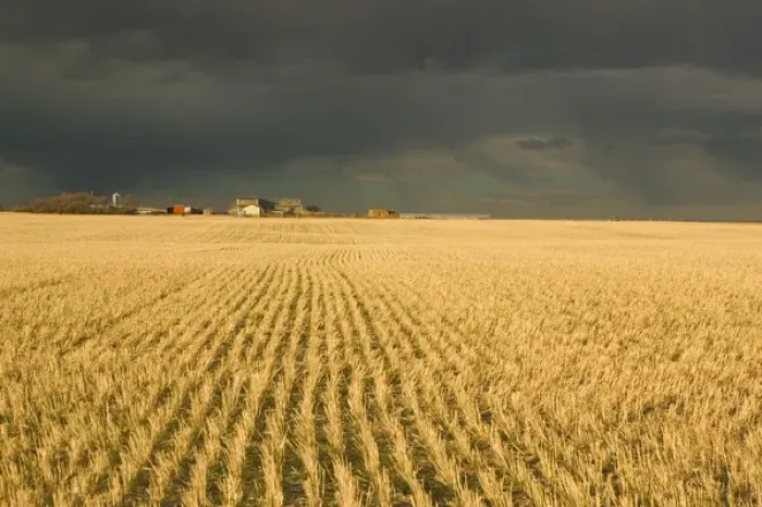 Framed Print : 02. Canada, Alberta, Stand Off: Landscape with Dramatic Sky