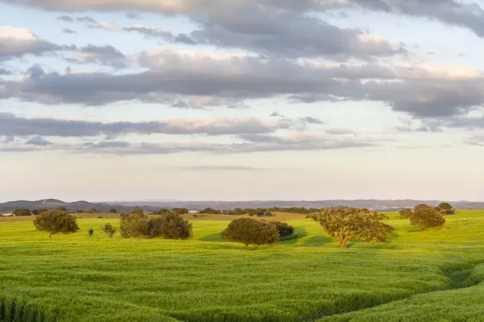 Framed Print : Landscape with fields of grain near Mertola in the nature reserve Parque Natural