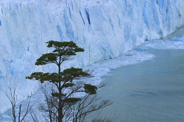 Landscape of Glacier Moreno, near El Calafate, Patagonia, Argentina