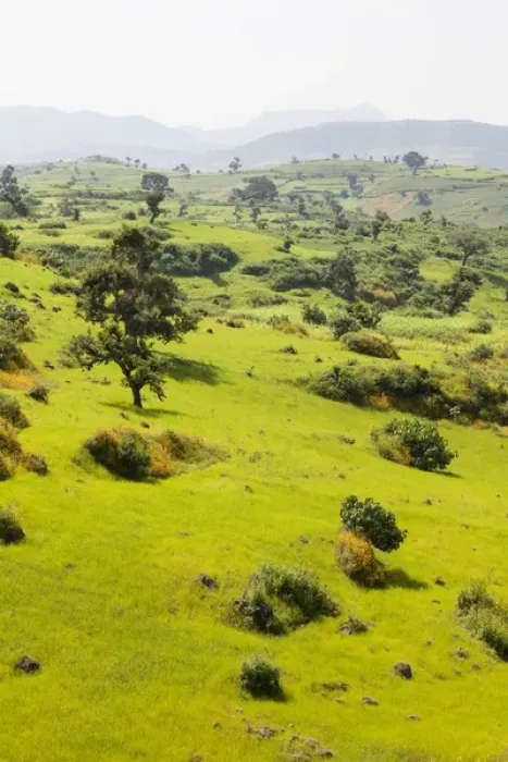 Framed Print : Landscape between Gonder and Lake Tana in Ethiopia. This fertile region is farmed Framed Print : Landscape between Gonder and Lake Tana in Ethiopia. This fertile region is farmed