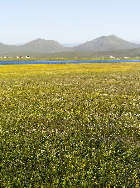 Landscape on the island of South Uist (Uibhist a Deas) in the Outer Hebrides. Machair