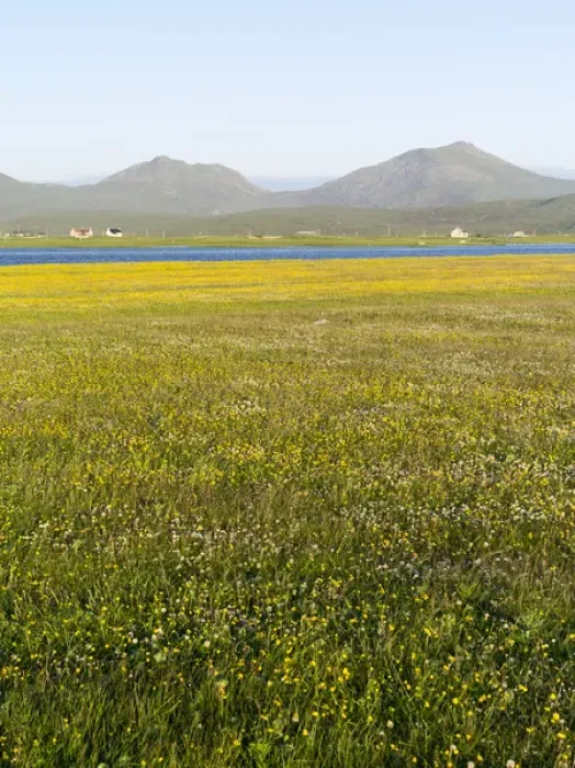 Framed Print : Landscape on the island of South Uist (Uibhist a Deas) in the Outer Hebrides. Machair Framed Print : Landscape on the island of South Uist (Uibhist a Deas) in the Outer Hebrides. Machair