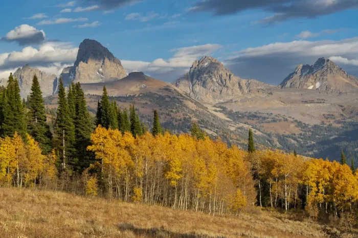 Framed Print : Landscape of Mt. Owen, Grand Teton and Middle Teton from the west, golden fall foliage Framed Print : Landscape of Mt. Owen, Grand Teton and Middle Teton from the west, golden fall foliage