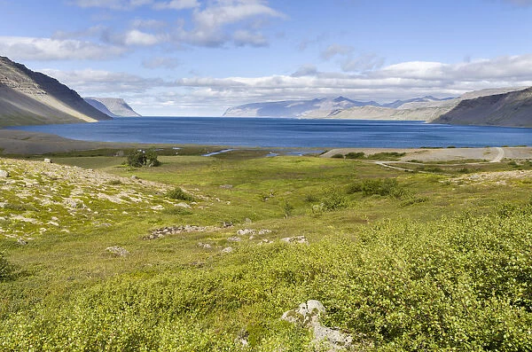 Landscape near Arnarfjordur fjord. The remote Westfjords (Vestfirdir) in northwest Iceland