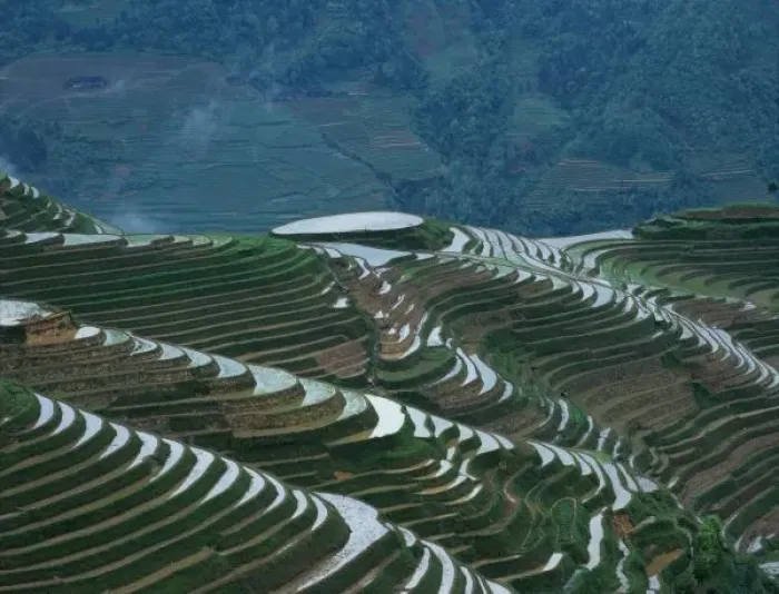 Framed Print : Landscape of rice terraces in the mountain, Longji, Guangxi Province, China Framed Print : Landscape of rice terraces in the mountain, Longji, Guangxi Province, China