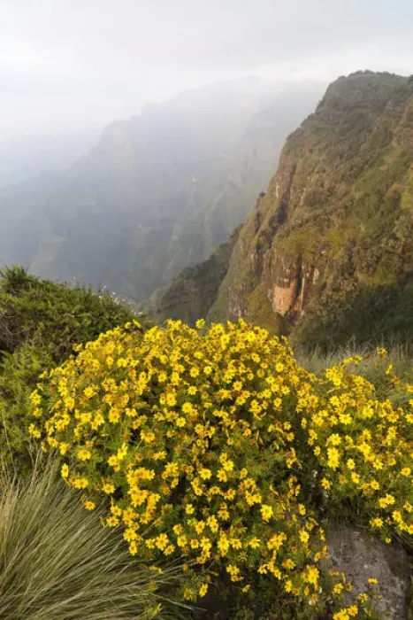 Framed Print : Landscape in the Semien Mountains National Park, Ethiopia