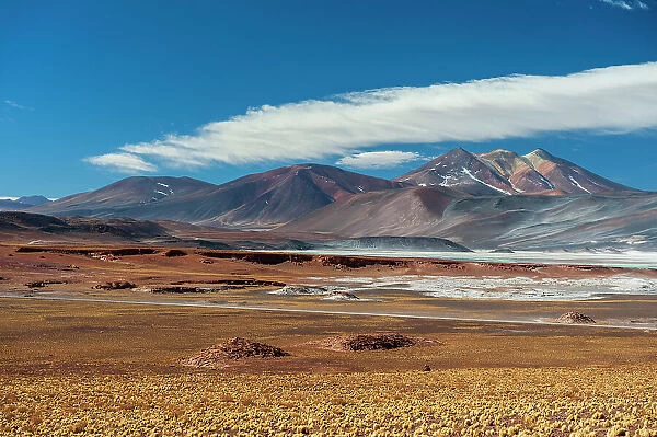 A landscape of the, Chilean Andes and Salar de Talar salt flat, at an altitude of 4, 000 meters above sea level. Salar de Talar, Atacama Desert, Antofagasta Region, Chile