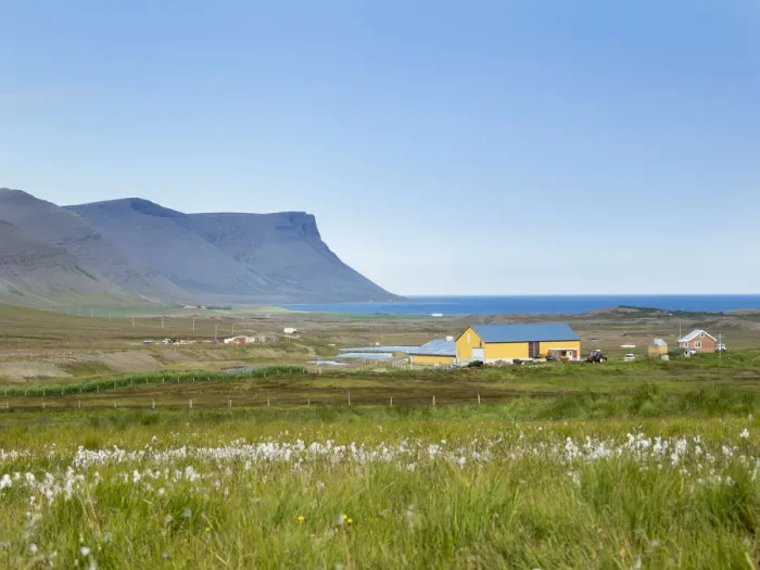 Framed Print : Landscape on the Thingeyri peninsula. The remote Westfjords (Vestfirdir) in northwest Iceland