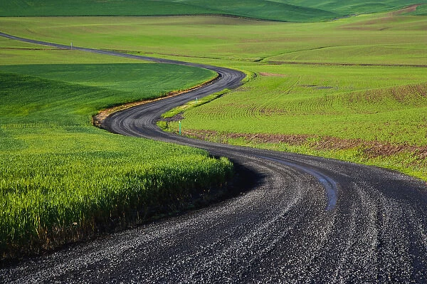 A landscape of winding road in Pullman Washington State
