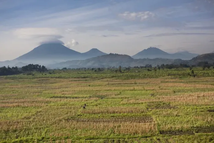 Framed Print : Landscapes around Kisoro, Kigezi. This area is densly populated and intensivly farmed Framed Print : Landscapes around Kisoro, Kigezi. This area is densly populated and intensivly farmed