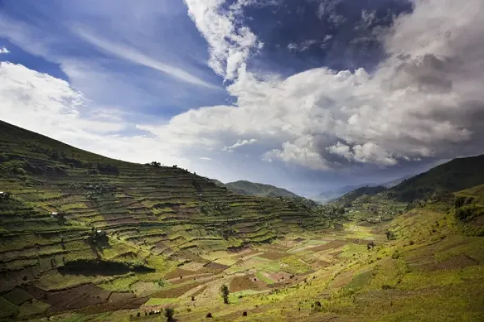 Framed Print : Landscapes around Kisoro, Kigezi. This area is densly populated and intensivly farmed Framed Print : Landscapes around Kisoro, Kigezi. This area is densly populated and intensivly farmed