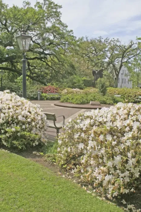 Framed Print : Landscaping at Moorer Plaza Mobile Alabama Framed Print : Landscaping at Moorer Plaza Mobile Alabama