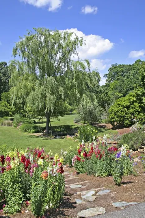 Framed Print : Landscaping at State Botanical Garden Athens Georgia