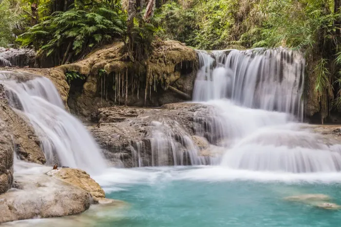 Framed Print : Laos, Luang Prabang. Tat Kuang Si Waterfall Framed Print : Laos, Luang Prabang. Tat Kuang Si Waterfall