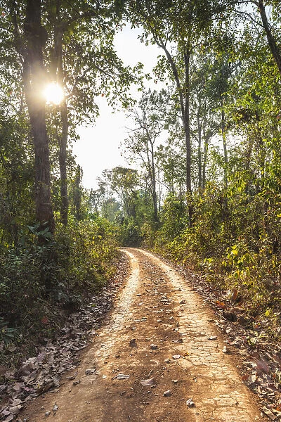 Laos, Sainyabuli. Dirt road