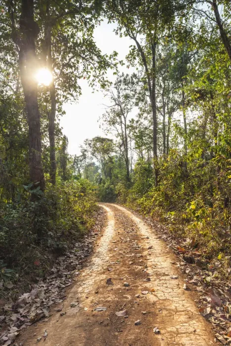 Framed Print : Laos, Sainyabuli. Dirt road