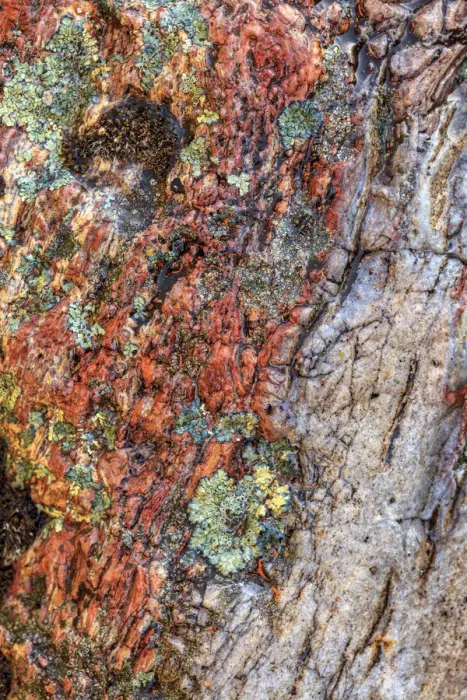 Framed Print : Large naturally polished rock with lichen, Lower Deschutes River, Central Oregon, USA Framed Print : Large naturally polished rock with lichen, Lower Deschutes River, Central Oregon, USA