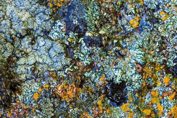 Framed Print : Large naturally polished rock with lichen, Lower Deschutes River, Central Oregon, USA