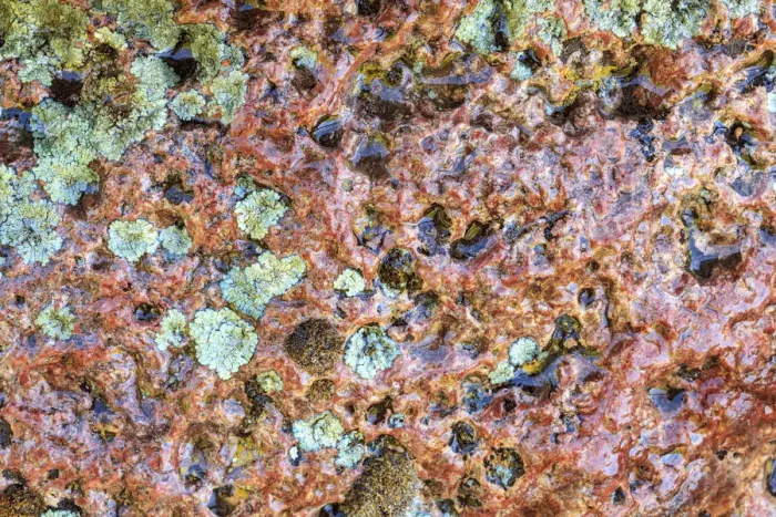 Framed Print : Large, naturally polished rock with lichen. Lower Deschutes River, Central Oregon, USA Framed Print : Large, naturally polished rock with lichen. Lower Deschutes River, Central Oregon, USA