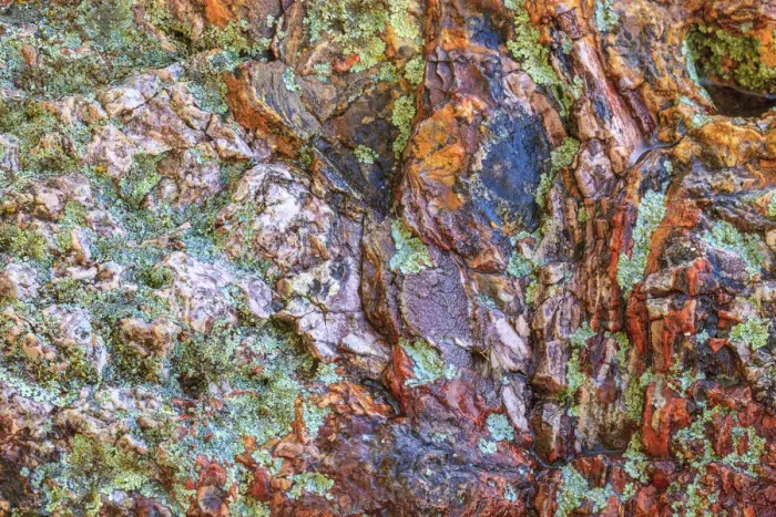 Framed Print : Large, naturally polished rock with lichen. Lower Deschutes River, Central Oregon, USA Framed Print : Large, naturally polished rock with lichen. Lower Deschutes River, Central Oregon, USA