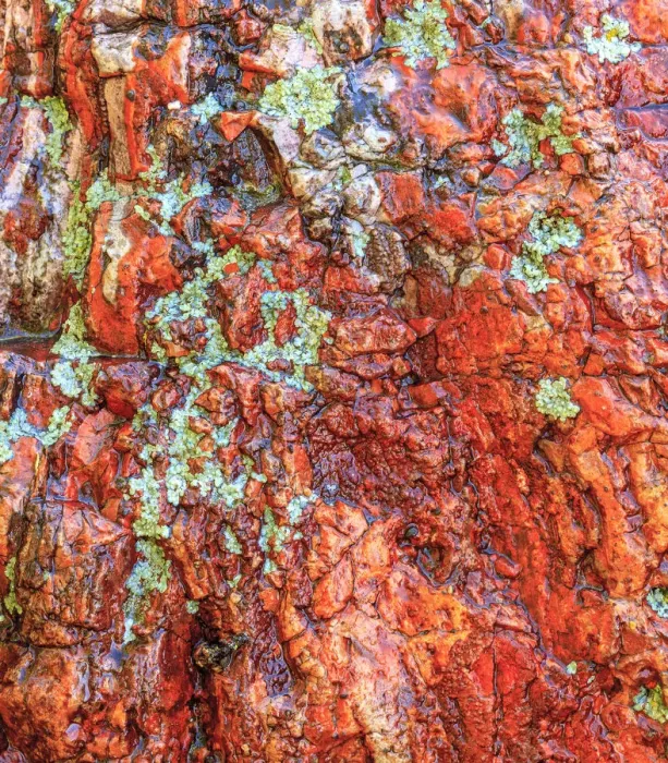 Framed Print : Large, naturally polished rock with lichen. Lower Deschutes River, Central Oregon, USA Framed Print : Large, naturally polished rock with lichen. Lower Deschutes River, Central Oregon, USA