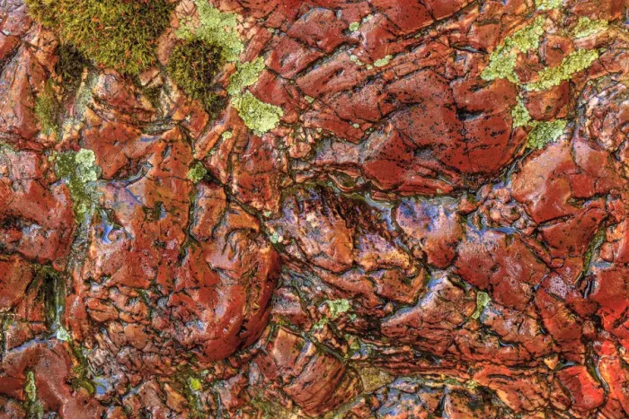 Framed Print : Large, naturally polished rock with lichen. Lower Deschutes River, Central Oregon, USA Framed Print : Large, naturally polished rock with lichen. Lower Deschutes River, Central Oregon, USA