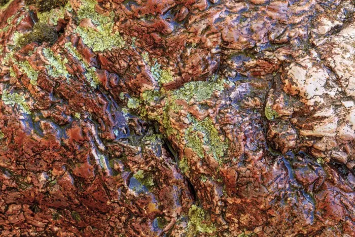 Framed Print : Large naturally polished rock with lichen, Lower Deschutes River, Central Oregon, USA Framed Print : Large naturally polished rock with lichen, Lower Deschutes River, Central Oregon, USA