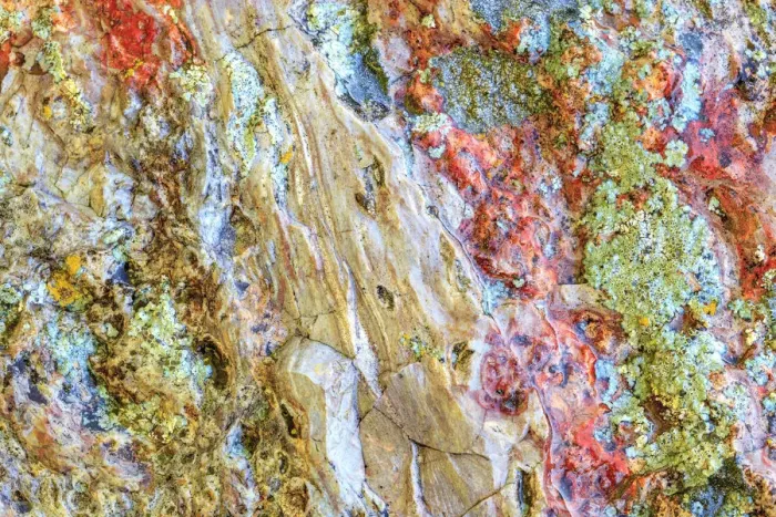 Framed Print : Large naturally polished rock with lichen, Lower Deschutes River, Central Oregon, USA Framed Print : Large naturally polished rock with lichen, Lower Deschutes River, Central Oregon, USA