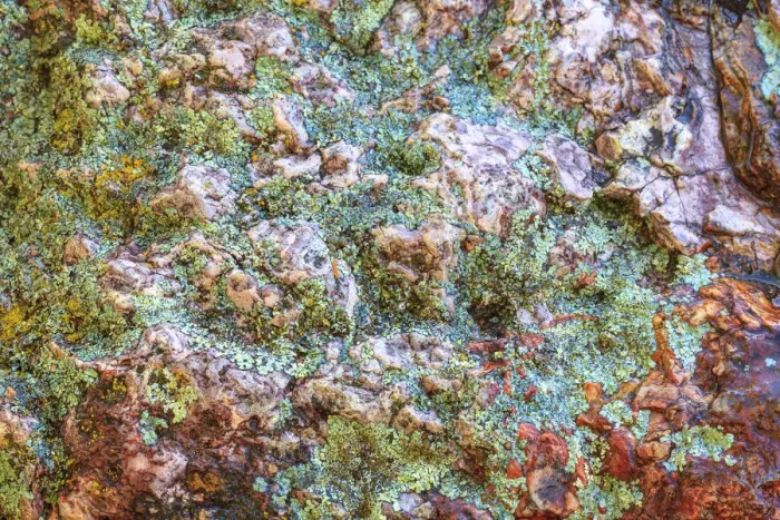 Framed Print : Large naturally polished rock with lichen, Lower Deschutes River, Central Oregon, USA Framed Print : Large naturally polished rock with lichen, Lower Deschutes River, Central Oregon, USA
