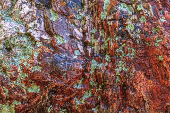 Framed Print : Large naturally polished rock with lichen, Lower Deschutes River, Central Oregon, USA Framed Print : Large naturally polished rock with lichen, Lower Deschutes River, Central Oregon, USA