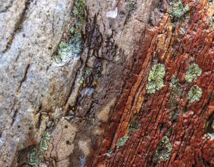 Framed Print : Large, naturally polished rock with lichen. Lower Deschutes River, Central Oregon, USA
