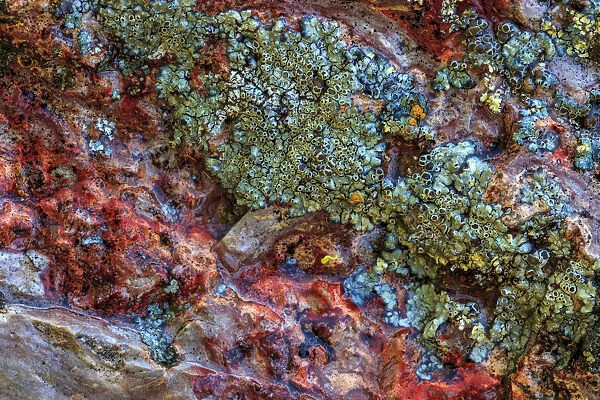 Large, naturally polished rock with lichen. Lower Deschutes River, Central Oregon, USA