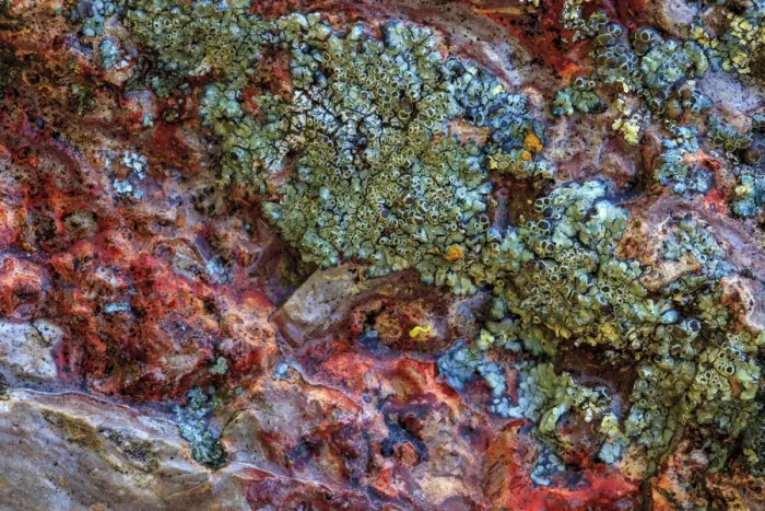 Framed Print : Large, naturally polished rock with lichen. Lower Deschutes River, Central Oregon, USA Framed Print : Large, naturally polished rock with lichen. Lower Deschutes River, Central Oregon, USA