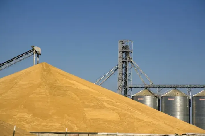 Framed Print : Large pile of harvested wheat and grain elevators at Pasco, Washington Framed Print : Large pile of harvested wheat and grain elevators at Pasco, Washington