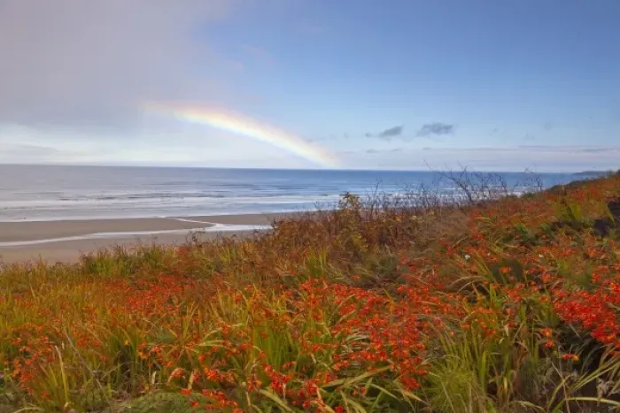 Framed Print : Large rainbow over the Pacific Ocean at Newport, Oregon, USA Framed Print : Large rainbow over the Pacific Ocean at Newport, Oregon, USA