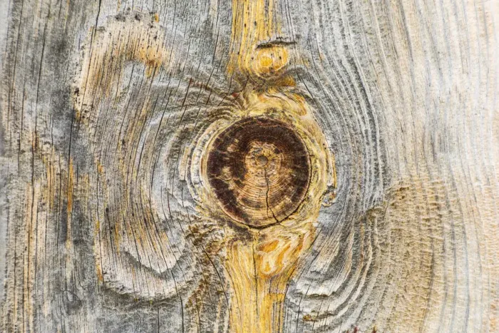 Framed Print : Latah, Washington State, USA. Knot in weathered wood on an old barn Framed Print : Latah, Washington State, USA. Knot in weathered wood on an old barn