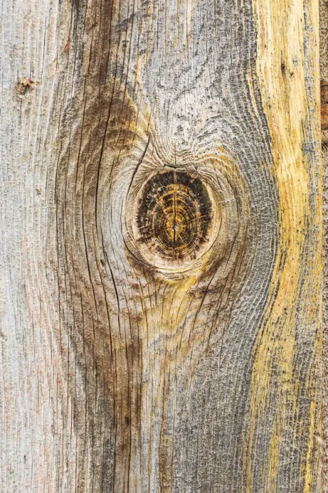 Framed Print : Latah, Washington State, USA. Knot in weathered wood on an old barn Framed Print : Latah, Washington State, USA. Knot in weathered wood on an old barn