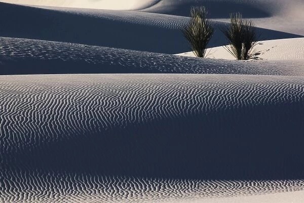 Late afternoon light on sand dunes, White Sands National Monument, New Mexico